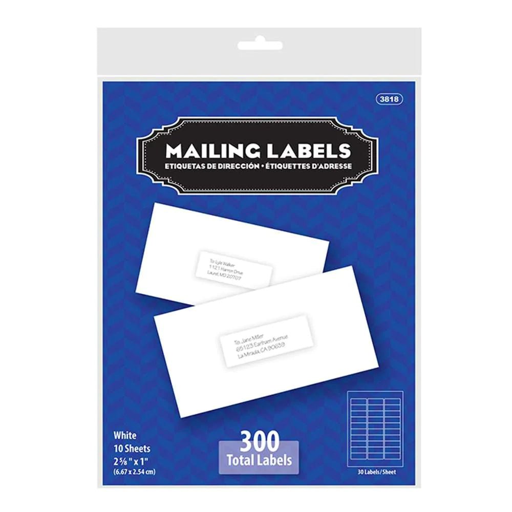 White Address Labels 1″ X 2 5/8″ (300/Pack) - My Store